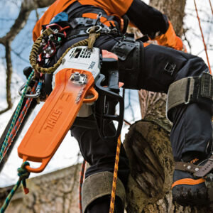 STIHL Baumpflegesäge MS 201 TC-M, PS3, Schienenlänge 30cm