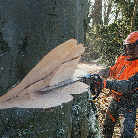 STIHL Motorsäge MS 661 C-M, RS, Schienenlänge 63cm – Bild 2