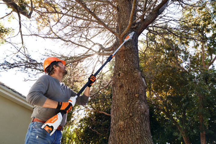 STIHL Akku-Hochentaster HTA 50, mit Akku AK 20 und Ladegerät AL 101 – Bild 4